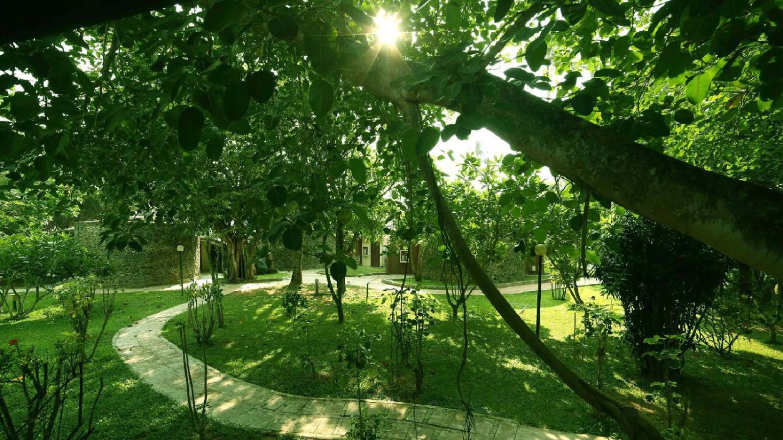 Siddhalepa Ayurveda Resort - All Meals, Ayurveda Treatment And Yoga Ваддува Экстерьер фото